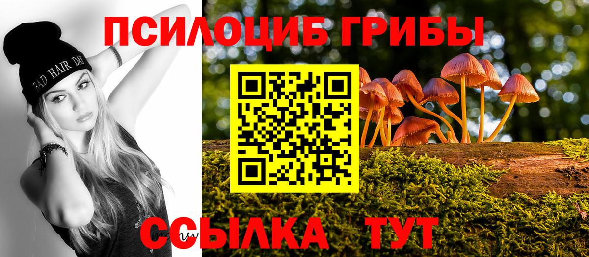Псилоцибиновые грибы Psilocybe  Вход с VPN  Псилоцибиновые грибы мухоморы  Изобильный 