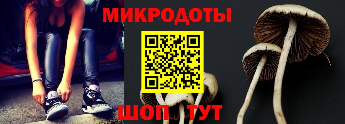 Галлюциногенные грибы GOLDEN TEACHER Изобильный